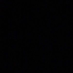 Meet your Posher, Bernice